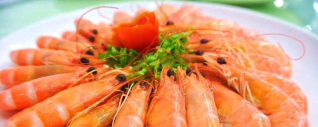 明蝦的營養價值及功效 明蝦的營養價值及功效是什麼