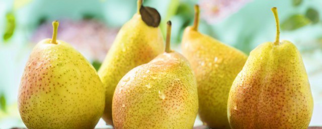 梨的營養價值及功效 梨的營養價值及功效有哪些