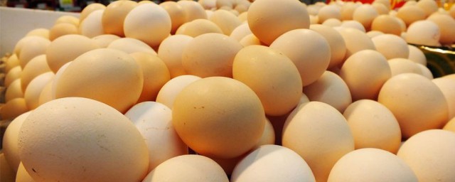 雞蛋營養價值及功效 雞蛋對人體的好處