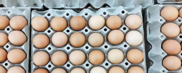 保存雞蛋千萬不能放冰箱 雞蛋保存方法介紹