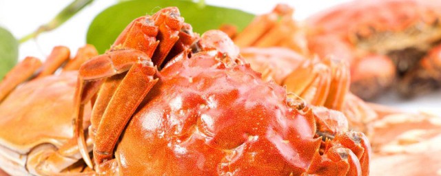 大閘蟹怎麼做好吃 大閘蟹的做法