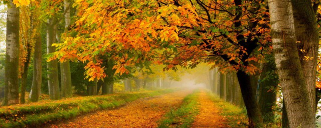 關於描寫秋天的古詩 描寫秋天的古詩有哪些