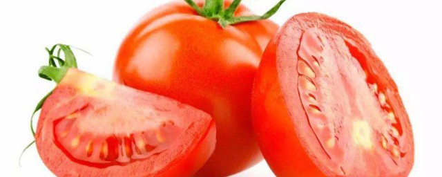 番茄與西紅柿含維生素c嗎 番茄簡介