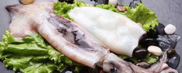 魷魚的營養價值和功效 魷魚的營養價值和功效有什麼