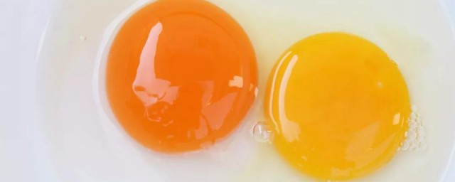 蛋黃的營養價值 蛋黃簡介