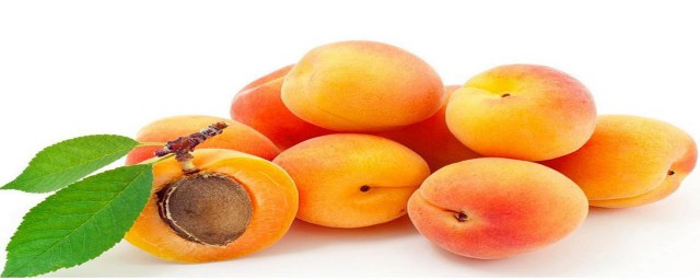 吃杏有什麼好處和壞處 杏子的營養價值和副作用有哪些