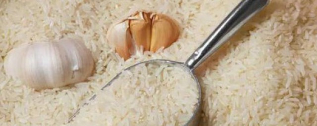 夏季大米怎麼保存不生蟲子 多種方法保存大米