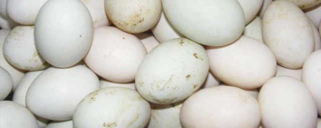 如何保存熟鴨蛋 保存熟鴨蛋方法