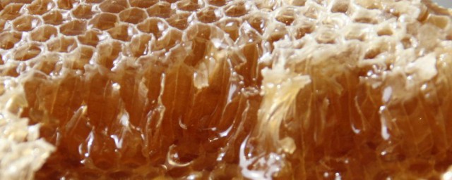 蜂巢蜜的吃法禁忌 關於蜂巢蜜的吃法禁忌介紹