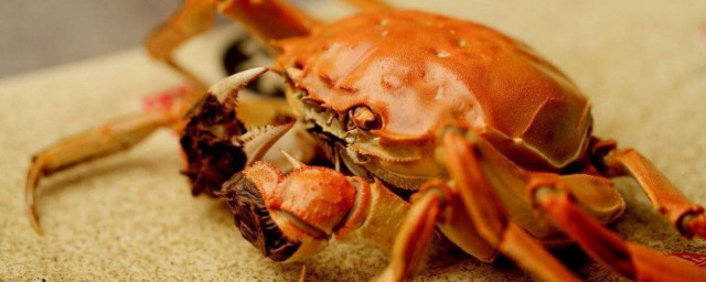 螃蟹死瞭多久不能吃瞭 螃蟹死瞭能吃嗎