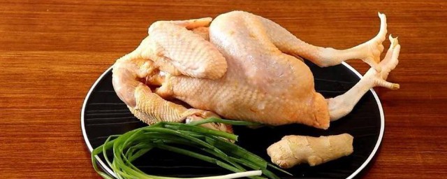 雞胸肉做法 雞肉的價值