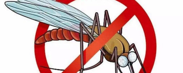 蚊子怎麼消滅 蚊子怕什麼植物