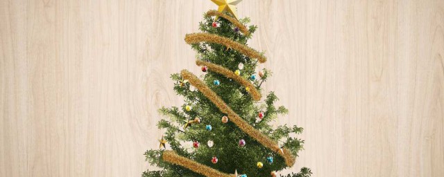 聖誕樹是什麼樹 聖誕樹到底是什麼樹