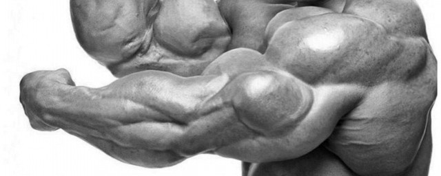 人體有多少塊肌肉 居然有這麼多