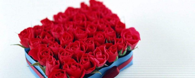 21朵玫瑰代表什麼意思 玫瑰花語