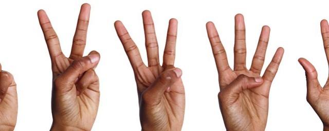 五個手指頭分別叫什麼 五個手指頭介紹