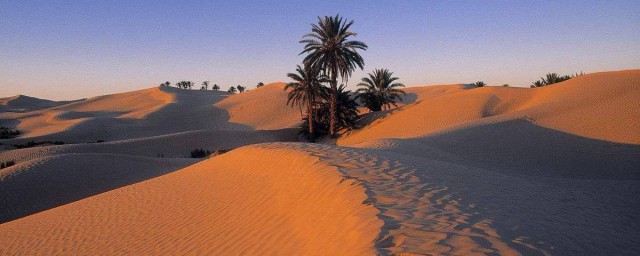 沙漠是怎麼形成的 是什麼原理