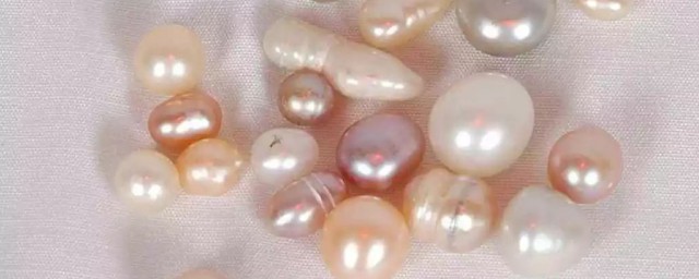 珍珠是怎麼形成的 珍珠的形成原理