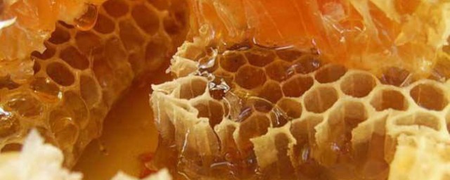 蜂膠是什麼 蜂膠介紹