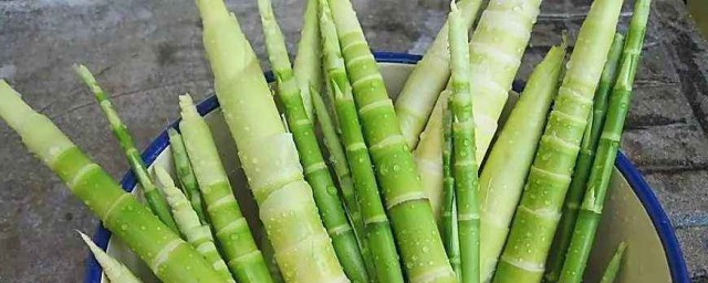 新鮮竹筍怎麼處理 鮮竹筍簡介
