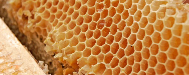 蜂王漿是怎麼形成的 蜂王漿如何形成