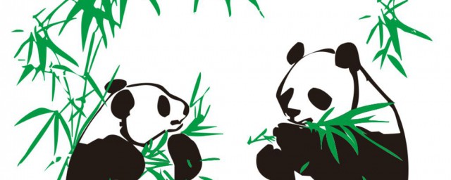 大熊貓怎麼拿竹子 大熊貓喜歡吃肉嗎