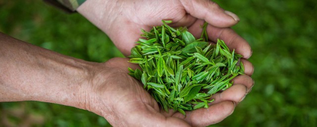 四大名茶之一的龍井茶產地是 龍井茶產自哪裡