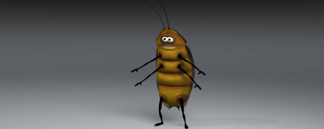 蟑螂窩一般在哪 蟑螂的危害