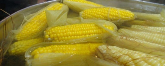 一般玉米要煮多久才熟 玉米要煮熟的時間