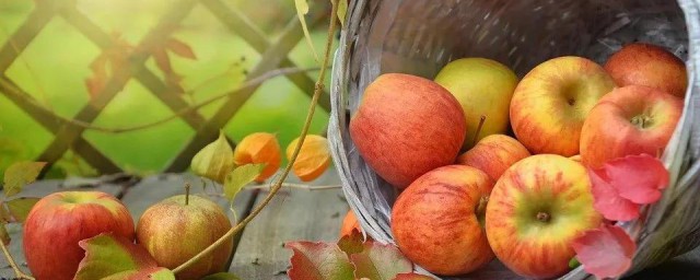 秋天有哪些水果成熟 各自有什麼特點