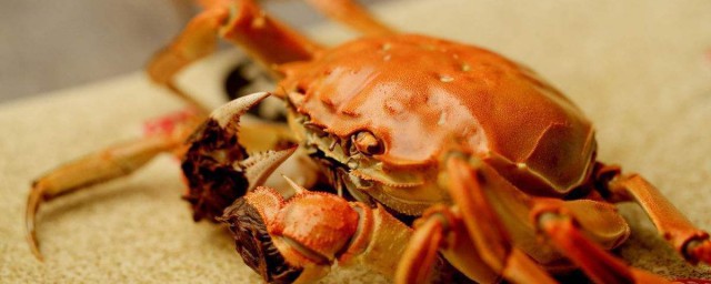 大閘蟹和什麼不能一起吃 螃蟹千萬不要這些東西一起吃