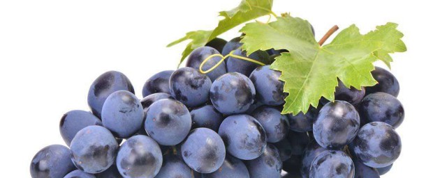 葡萄和什麼水果一起榨果汁好 葡萄的營養價值