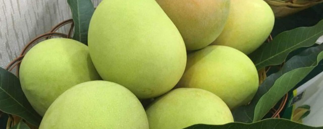 怎麼種芒果 種芒果的方法