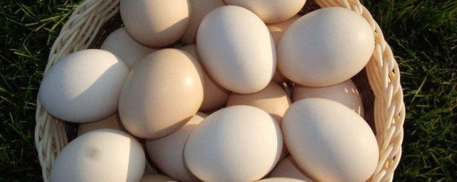 醋泡雞蛋的功效 醋泡雞蛋的作用