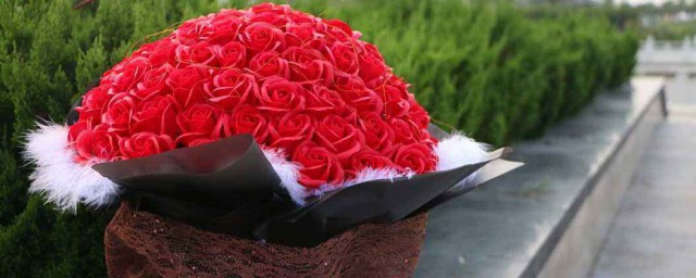 送幾朵玫瑰花的含義 玫瑰花個數字意義