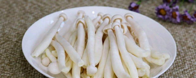 新鮮海鮮菇怎麼保存 海鮮菇的保存方法