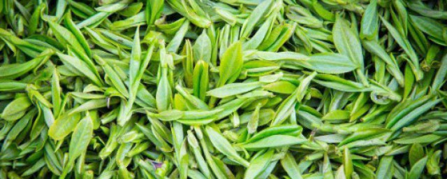 綠茶的功效 綠茶的保存