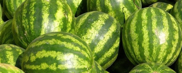 西瓜怎麼用肥料 西瓜用肥料的方法