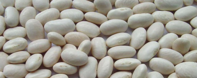 白蕓豆應該怎麼吃 白蕓豆吃法簡述