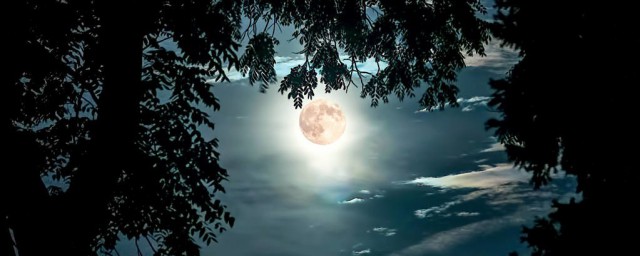 借月亮傷感的句子 一個人看月亮的心情說說