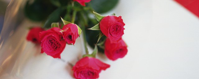送玫瑰花數量的含義 關於送玫瑰花數量的含義