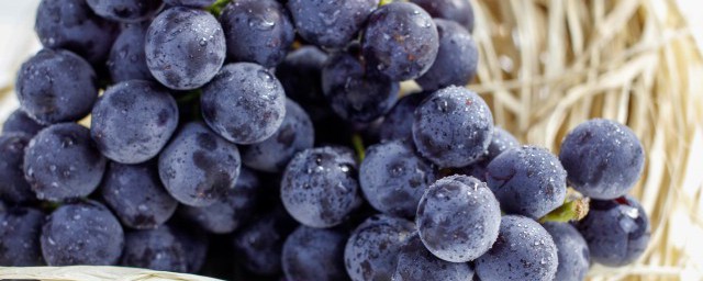 葡萄沒有冰箱要怎麼保存 葡萄營養價值有哪些