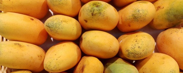 芒果不能跟什麼水果一起吃 吃瞭會有什麼影響
