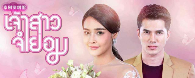 不情願的新娘泰國電視劇國語版 不情願的新娘泰國電視劇國語版介紹