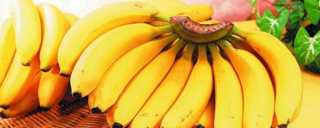 牛奶香蕉可以一起吃嗎 牛奶香蕉不建議一起吃