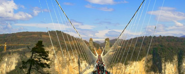 張傢界玻璃橋在哪裡 在湖南省張傢界大峽谷景區內