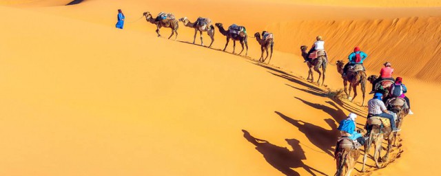 世界上最大的沙漠是哪個沙漠 撒哈拉沙漠的介紹