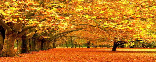 描寫秋天景色的文章 描寫秋天景色的文章范文