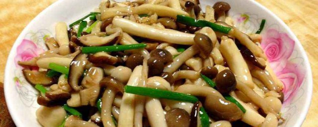 蘑菇怎麼炒好吃又簡單 蘑菇的簡單做法