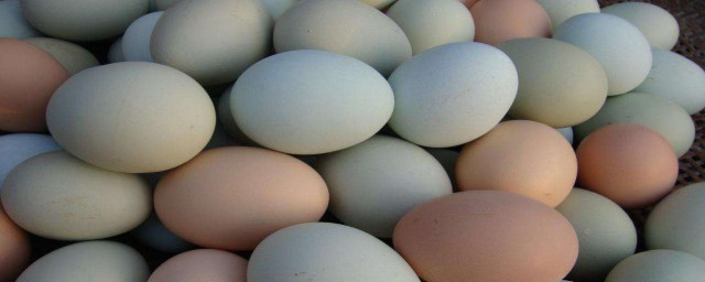 雞蛋殼有什麼用 雞蛋殼有些什麼作用